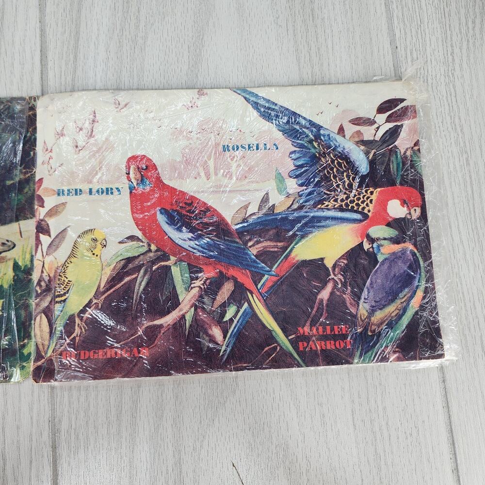 Vintage 1953 Australian Animals Children’s Book Photograpatures Illustrated - Picture 3 of 16